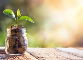 Swedish Green Bonds Slash 515,000 Tonnes of Emissions