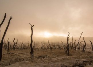 Advocates of Sustainable Investing Put Climate Change in U.N. Spotlight