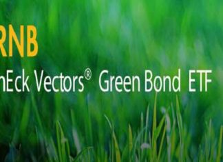 Meeting Sustainable Investing Goals With Green Bonds