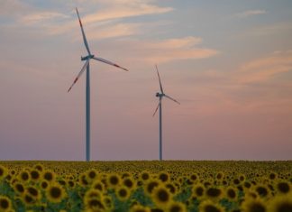 As Vanguard Launches Sustainable Investing ETF, Its Low Fees Are Only One of the Factors to Consider
