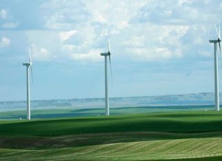 Canada’s Brookfield Renewable Eyes CAD 300m from 1st Green Bond Issue
