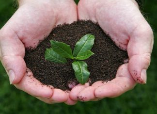 Green Bonds Are Fertile Spot for Climate Activists