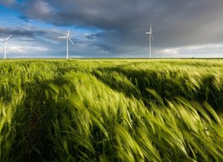 How to Ensure ESG Investing Isn’t Whitewash