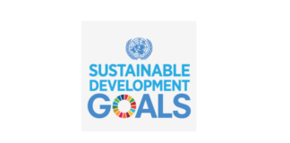 SDGs in progress: lessons from Indonesia