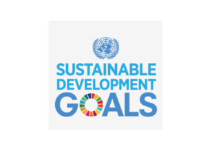 SDGs in progress: lessons from Indonesia