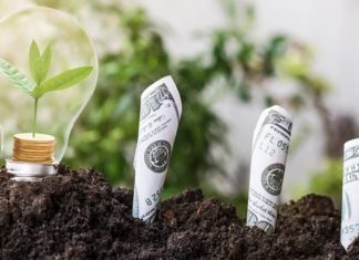 Japan’s Small Investors Make Big ESG Statements