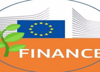 EU’s Michel Says G20 Must ‘Urgently’ Address Global Green Finance