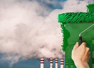 Al Gore Warns Greenwashing May Stop the Climate Fight in Its Tracks