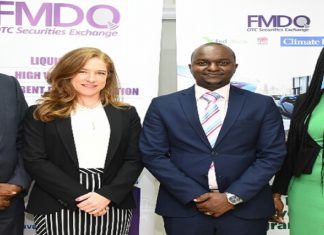 FMDQ Two Others Organises Capacity Building For Investors on Green Bond