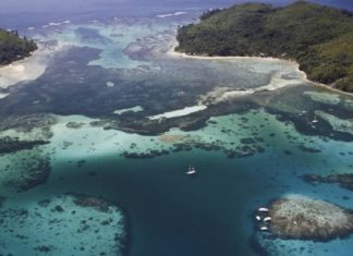 Seychelles Sells World’s First Blue Bond in ‘Dolphin Debt’ Deal