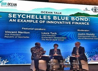 The World is My Oyster – the Birth of Blue Bonds in Seychelles