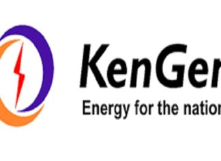 KenGen to Raise Funds from the Market This Year, Eyes Green Bond