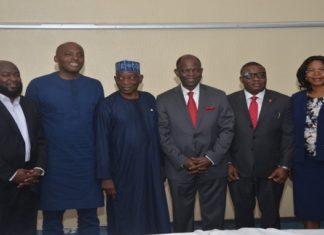 First SEC Approved 15-Year Corporate Green Infrastructure Bond in the Nigerian Debt Capital