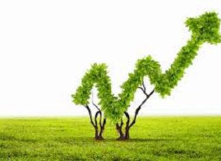 More Firms Eye $60tn Green Bond Market for Project Funding
