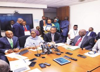 Federal Government of Nigeria to Issue N15bn Green Bond For Critical Sectors
