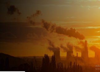 How Green is Your Portfolio? Why Green Bonds Make Financial Sense