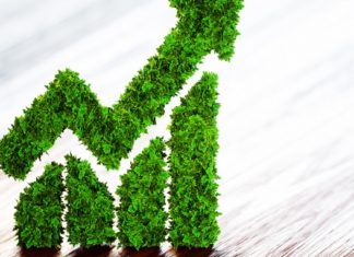 Nigeria to Raise $41.5 Million Through its Second Green Bond Issue