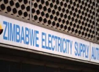 Green Energy Key to Vision 2030