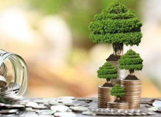 South Africa Needs Greater Urgency in Tackling Climate Change Challenges
