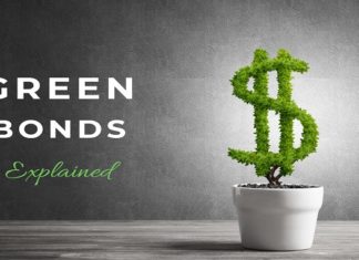 Green Bonds Standout in Pandemic Fixed Income Volatility
