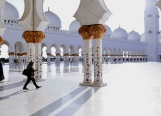 There are Now 142 Islamic Fintech Firms Globally According to IFN Islamic Fintech