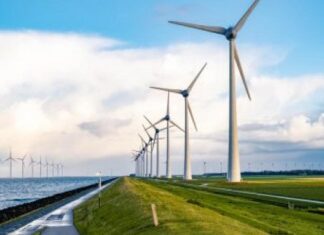 Clean Up Your Portfolio: The CTEC Renewable Tech ETF