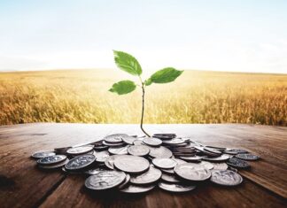 Gush of ESG Bond Sales Expected from Blue Wave