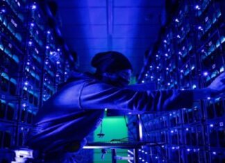 Why Smaller Cryptos are Crushing Bitcoin