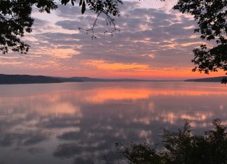 Three Lessons from the First Certified Green Bond to Protect Forests for Drinking Water